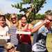 Famous Margaret River Brewery Tours - We Wander