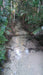 Fraser Island Exclusive 4Wd Day Tour - We Wander