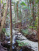 Fraser Island Exclusive 4Wd Day Tour - We Wander
