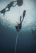 Freediving Course - Airlie Beach - 2 Day - We Wander