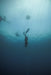 Freediving Course - Mooloolaba - 2 Day - We Wander