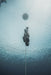Freediving Course - Mooloolaba - 2 Day - We Wander