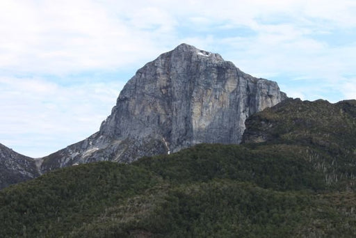 Frenchman's Cap Guided Walk - We Wander