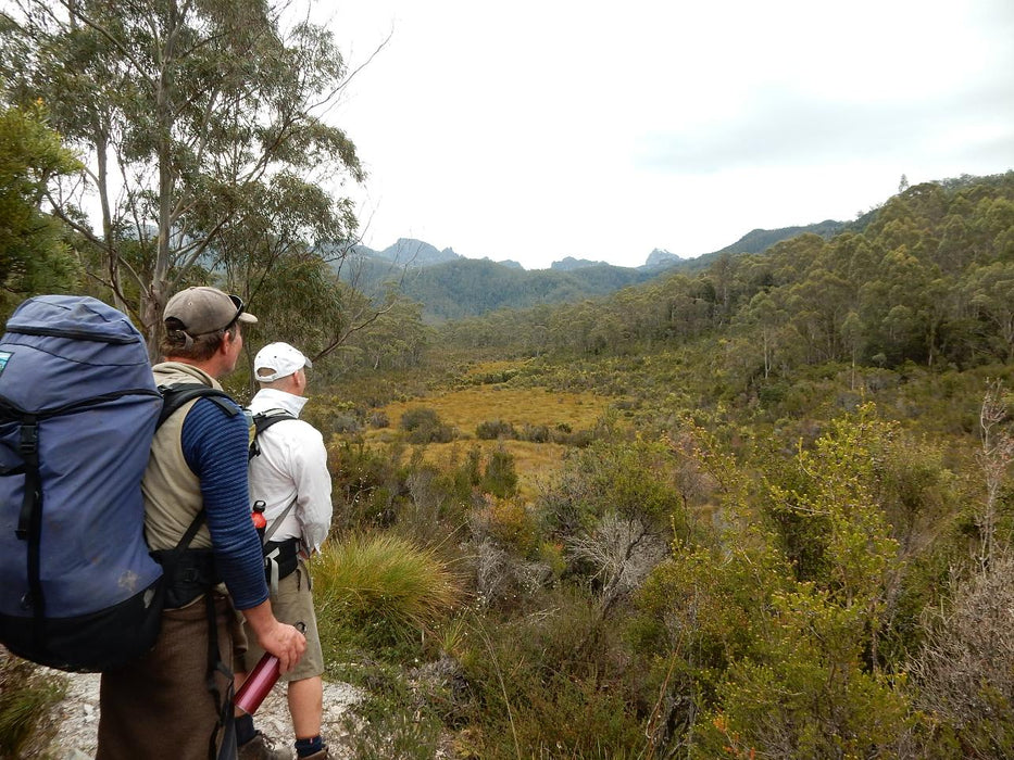 Frenchman's Cap Guided Walk - We Wander