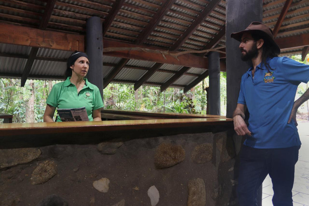 Garden Loft Accommodation At Ferntree Rainforest Lodge - We Wander