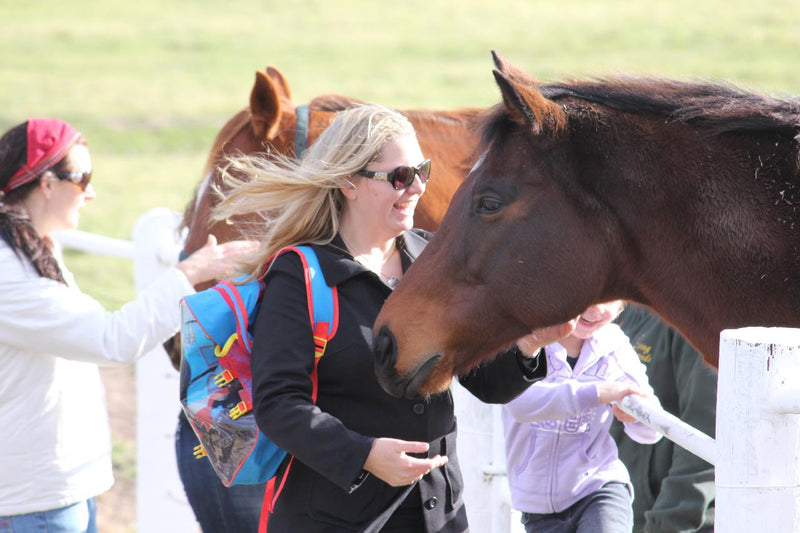 Half Day Racehorse Tour - We Wander