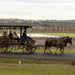 Harvest The Hunter Wine And Produce Tour - We Wander