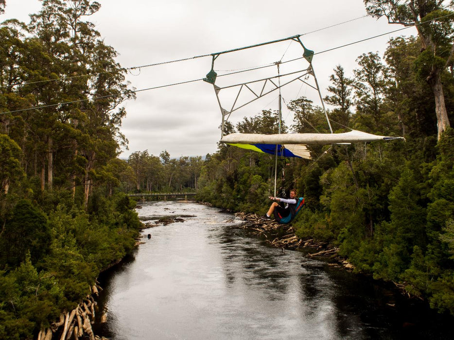 Hastings Caves, Thermal Springs And Tahune Airwalk - We Wander