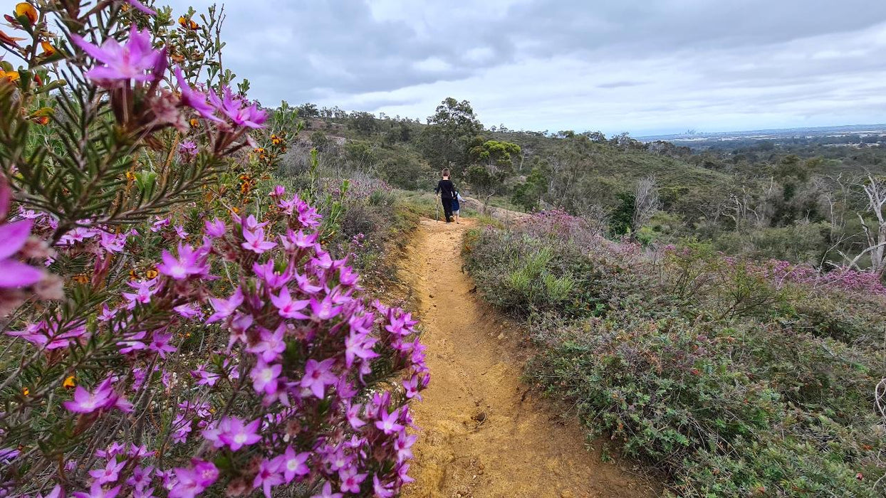 Hidden Gems Of Perth Experience - We Wander