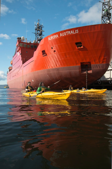 Hobart City Kayaking Tour With Fish And Chips - We Wander