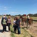 Horses, Wine & Beer Tour - We Wander