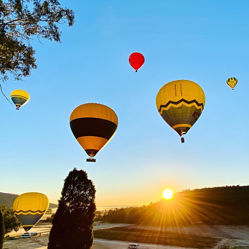 Hot Air Balloon Over The Hunter Valley - We Wander