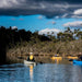 Huon River Morning Tour - We Wander