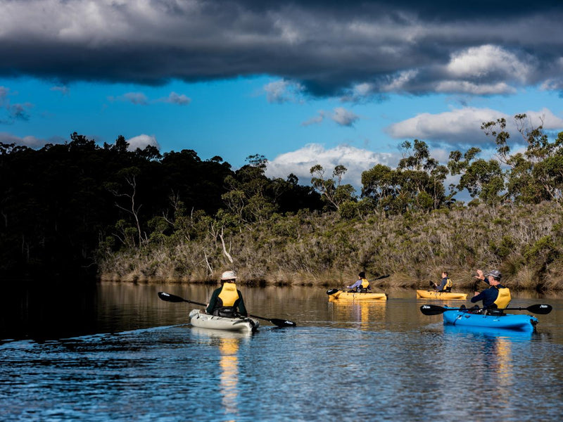 Huon River Morning Tour - We Wander