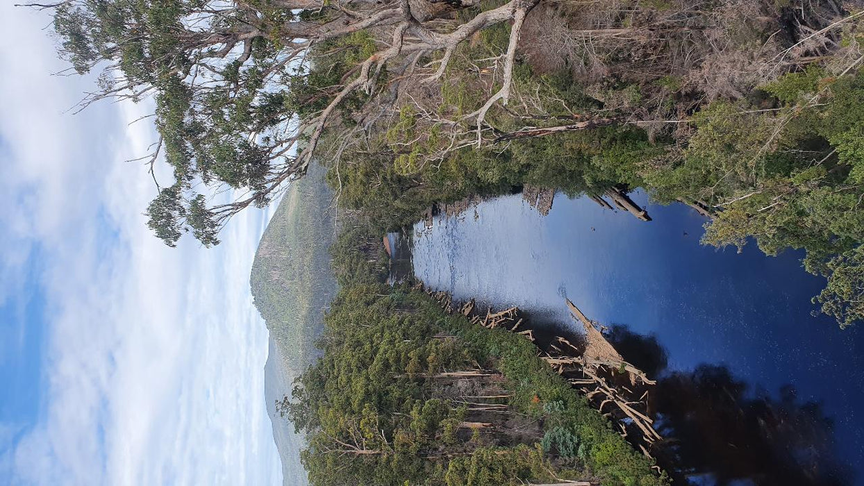 Huon Valley Day Tour - We Wander