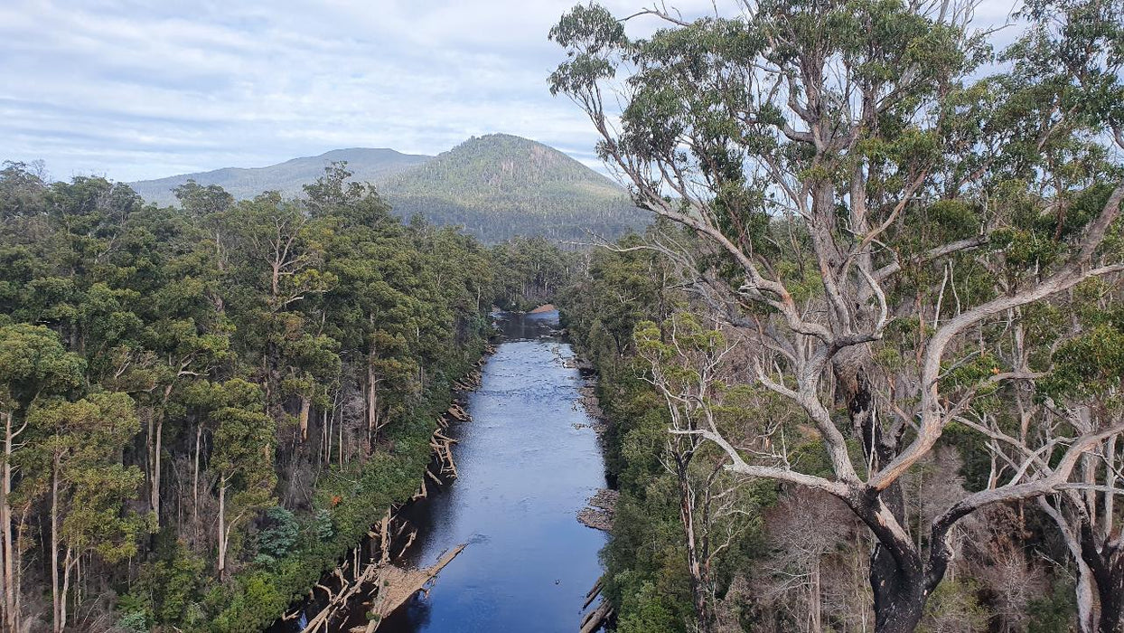 Huon Valley Day Tour - We Wander