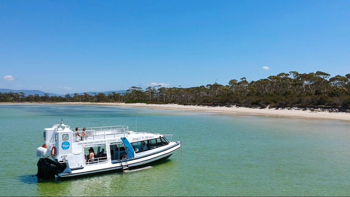 Ile Des Phoques / Maria Island Tour + Hobart Shuttle Bus - We Wander