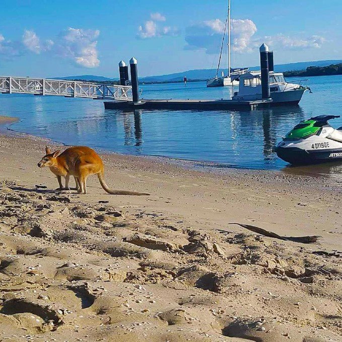 Jetboating + 1.5Hr Jet Ski Safari - We Wander