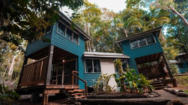 Jungle Stopver At Ferntree Rainforest Lodge - We Wander