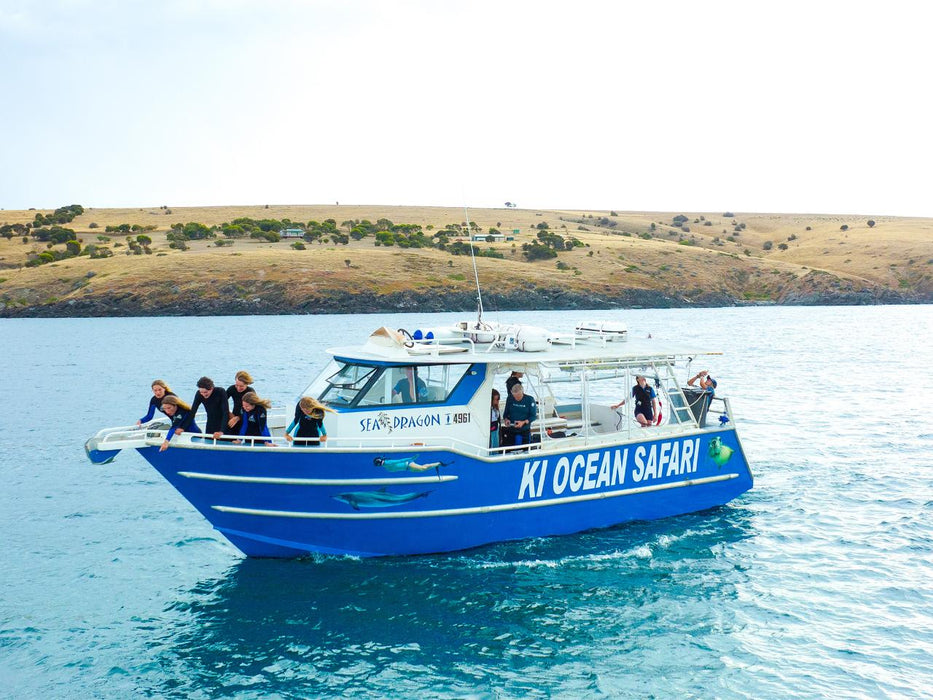 Kangaroo Island Ocean Safari - 2 Hour Swim With Dolphin, Seal & Coastal Snorkelling - We Wander