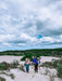 Koala Walking Tour - We Wander