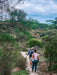Koala Walking Tour - We Wander