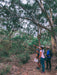 Koala Walking Tour - We Wander