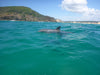 Learn To Surf Australia's Longest Wave + Great Beach Drive Adventure - Noosa Day Trip - We Wander