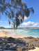 Learn To Surf Australia's Longest Wave + Great Beach Drive Adventure - Noosa Day Trip - We Wander