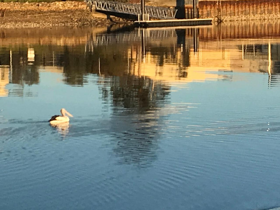 Leven River & History Cruise - We Wander