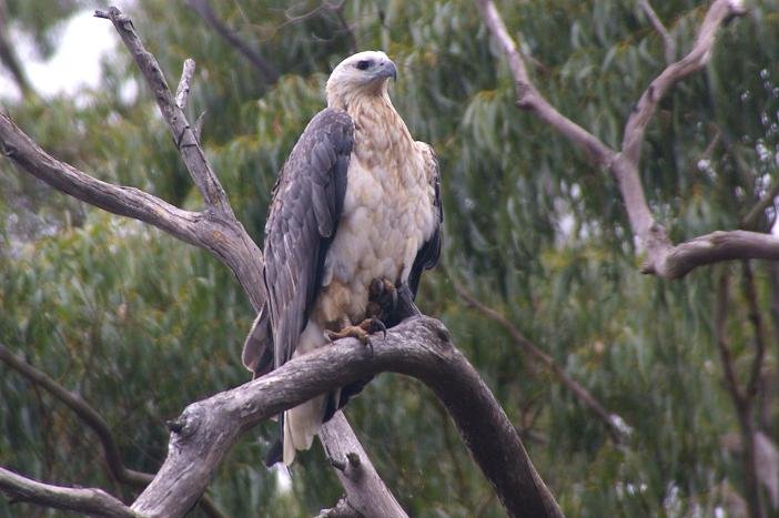 Leven River & History Cruise - We Wander