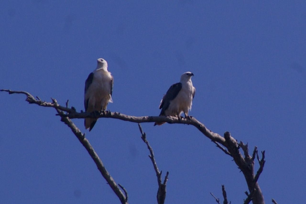 Leven River & History Cruise - We Wander