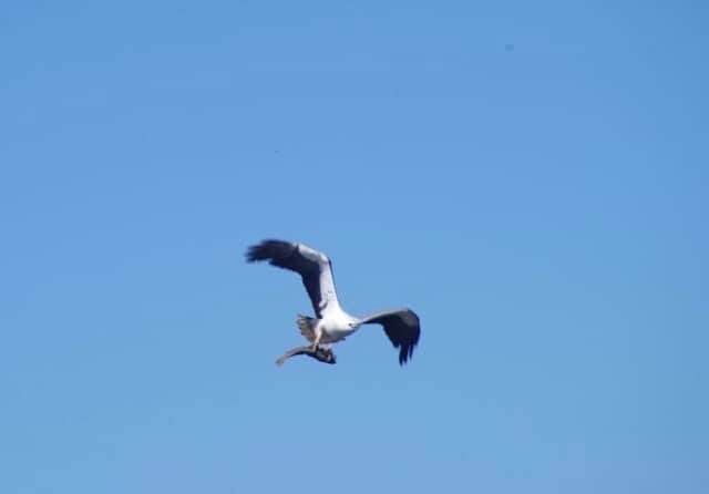 Leven River & History Cruise - We Wander