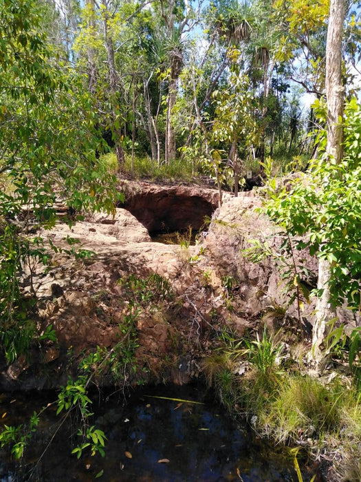 Litchfield Park Adventures + Berry Springs Natural Reserve - We Wander