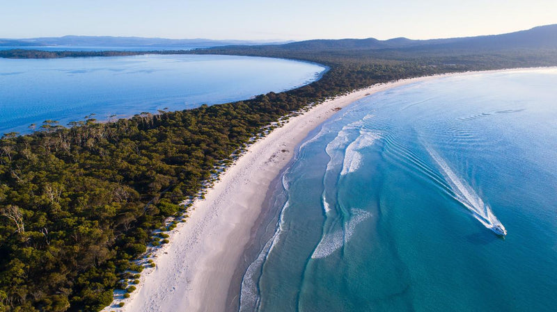 Maria Island Circumnavigation Cruise & Walk Day Tour - We Wander