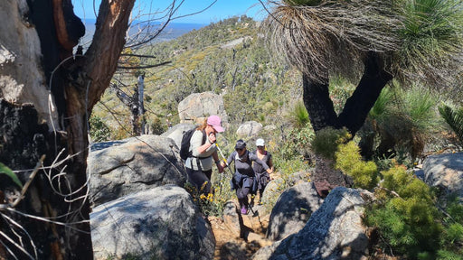 Mt Cooke Hiking Experience - We Wander