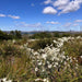 Nature, Culture And History Immersion In North Head Walk - We Wander