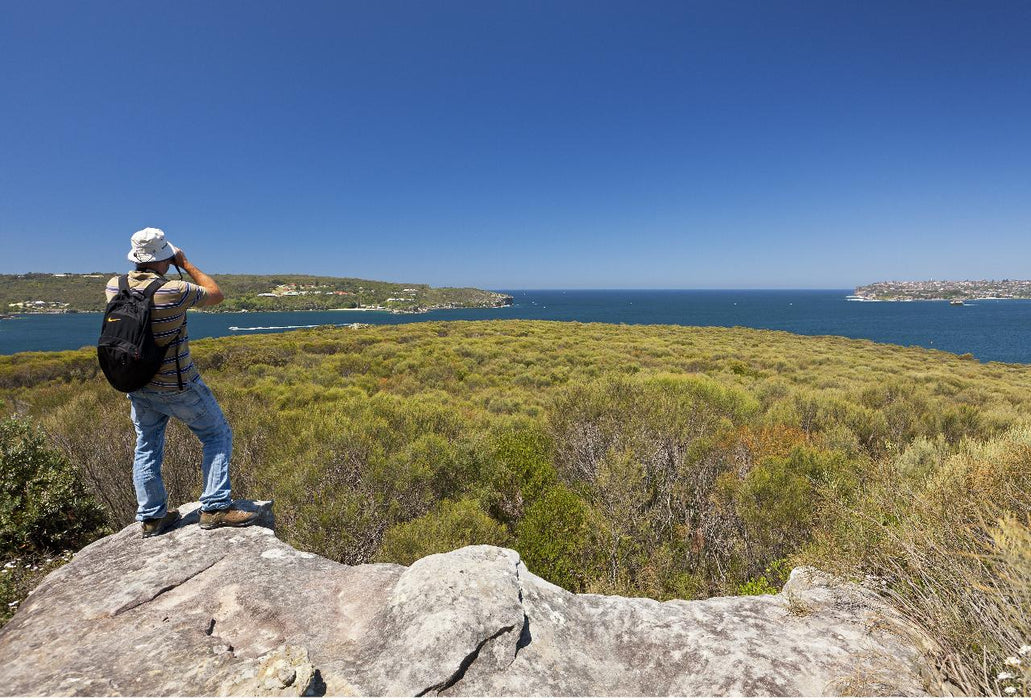 Nature, Culture And History Immersion In North Head Walk - We Wander