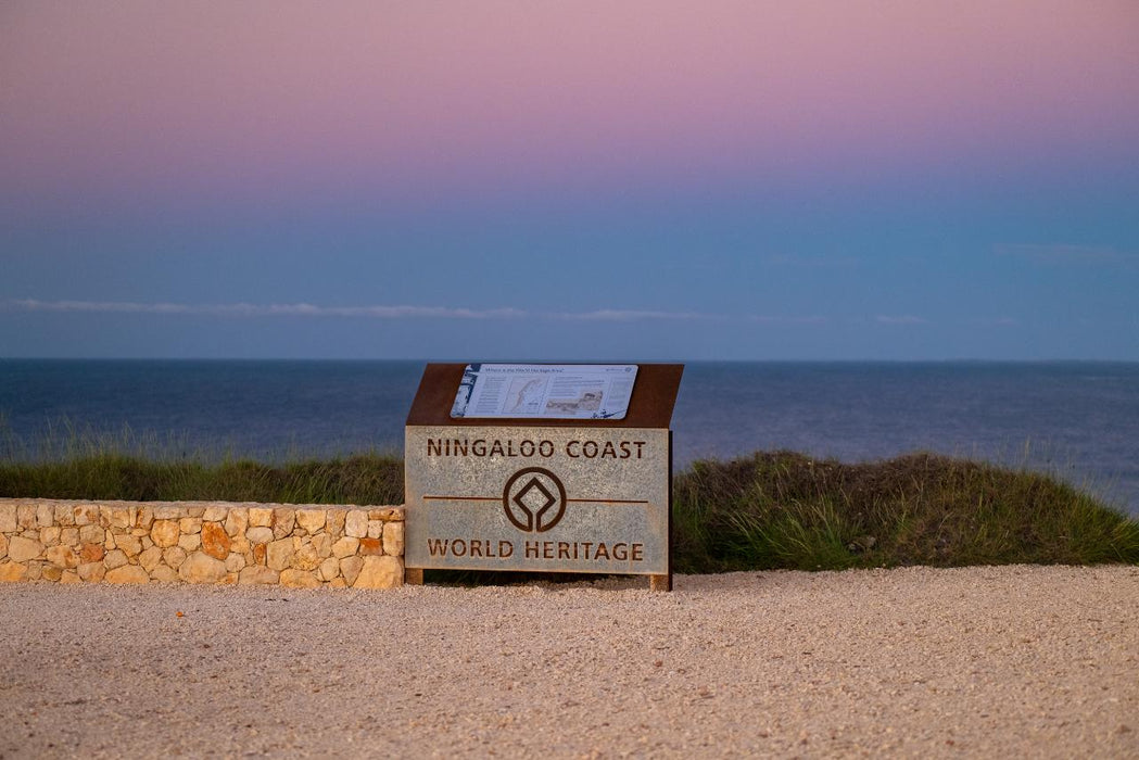 Ningaloo In A Day - We Wander