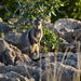 Ningaloo In A Day - We Wander