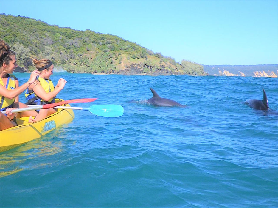 Noosa Dolphin View Sea Kayak & Beach 4X4 Adventure - Day Tour - We Wander