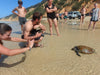Noosa Dolphin View Sea Kayak & Beach 4X4 Adventure - Day Tour - We Wander