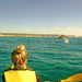 Noosa Dolphin View Sea Kayak & Beach 4X4 Adventure - Day Tour - We Wander