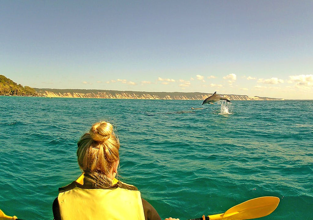 Noosa Dolphin View Sea Kayak & Beach 4X4 Adventure - Day Tour - We Wander