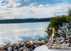 Oyster Farm Shuck And Chat - We Wander