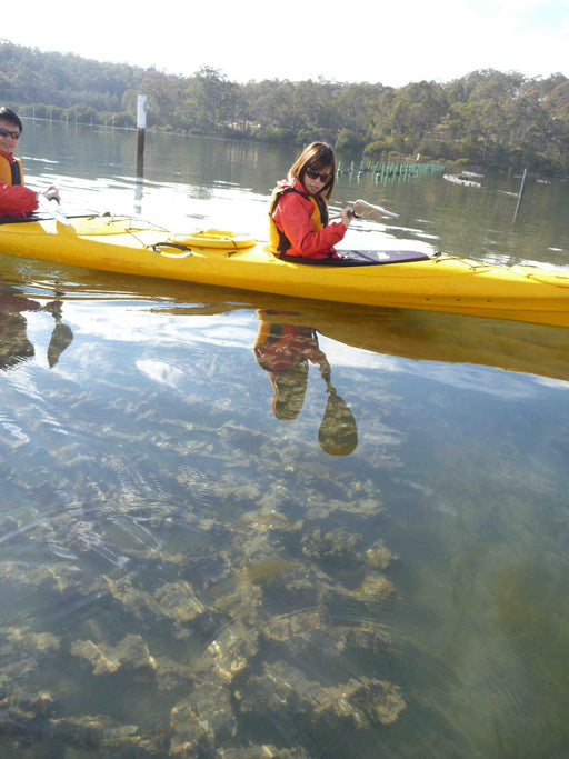 Oyster Tasting Kayak Tour - Batemans Bay - We Wander