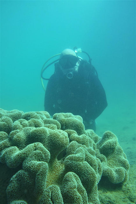 Padi Open Water Course - We Wander