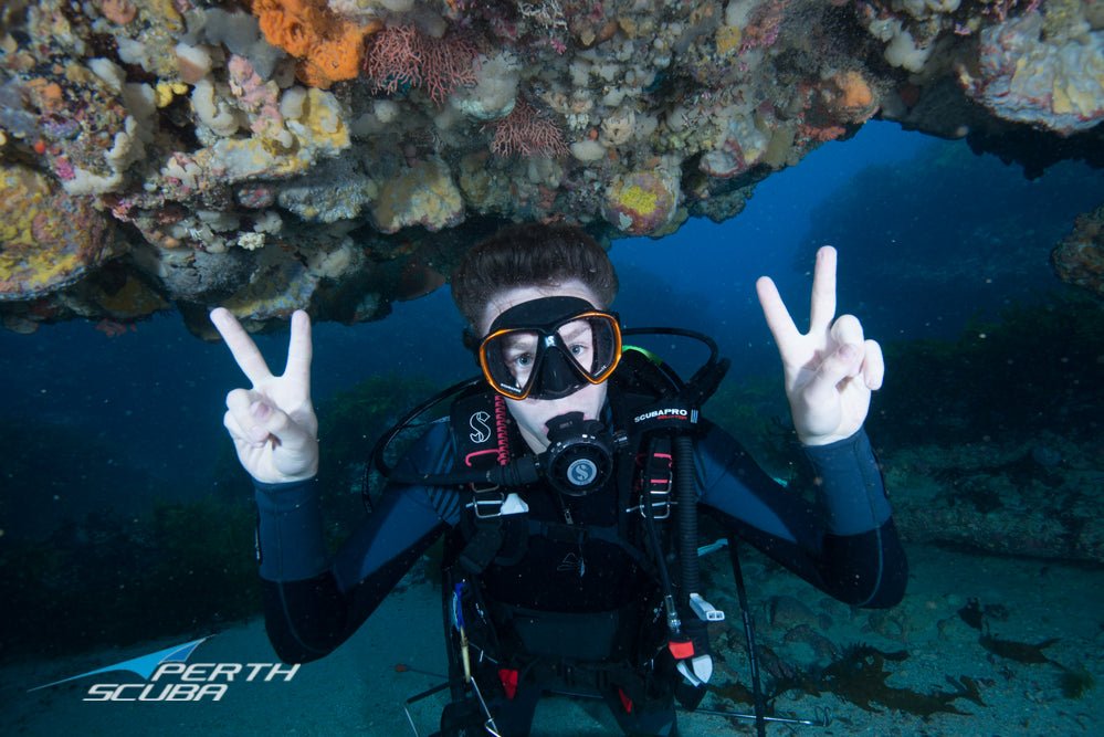 Padi Open Water Dive Course - Learn To Dive - We Wander