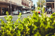Perth (Fremantle) Day Photography Course - We Wander