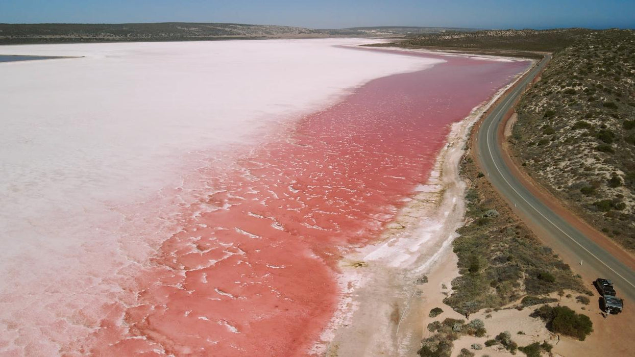 Pink Lakes And Abrolhos Scenic Flyover Tour - We Wander